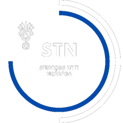 STNTI